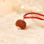 5 Mukhi Rudraksha (Certified & Authentic) - Image 2