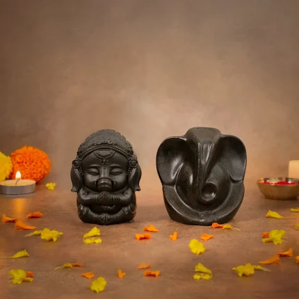 Sampoorna Ganesh Kripa Combo